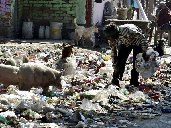 NGT pulls up government over garbage mess in Delhi NGT pulls up government over garbage mess in Delhi