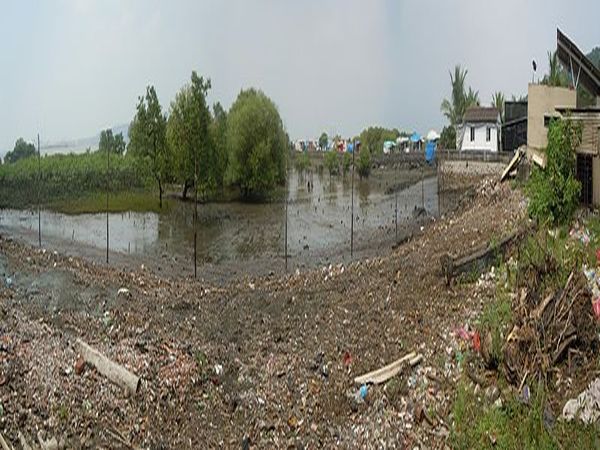 Mumbai to fence Mangrove soon Mumbai to fence Mangrove soon