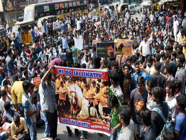 The success of Jallikattu protests is a triumph of the privileged The success of Jallikattu protests is a triumph of the privileged