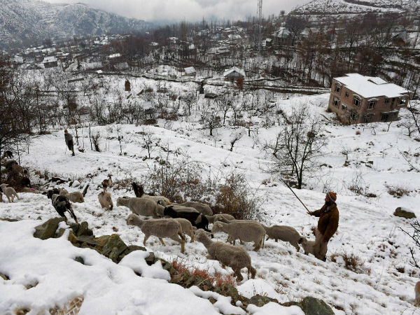 snowfall snowfall