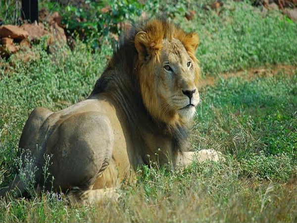 Van Vihar National Park Van Vihar National Park