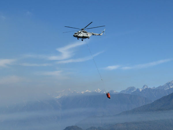 People were asked to avoid forest areas