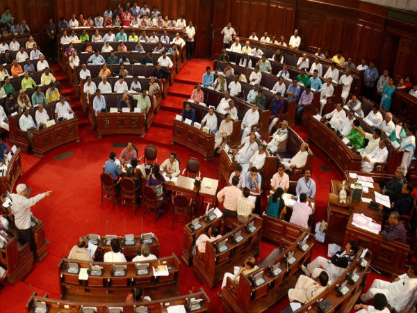 mlas mlas