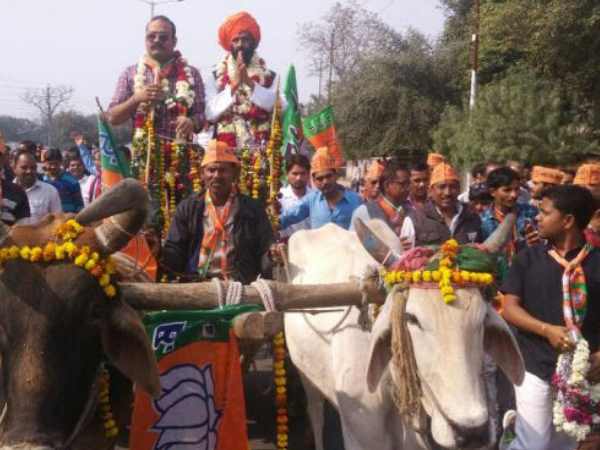 Bullock cart Bullock cart
