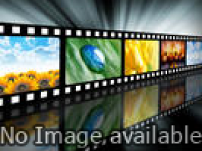 Personality type number 6 picture 4