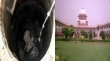 No country sends its people to gas chambers: SC on death of manual scavengers