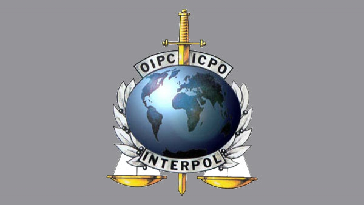 Types of notices issued by INTERPOL All you need to know about it