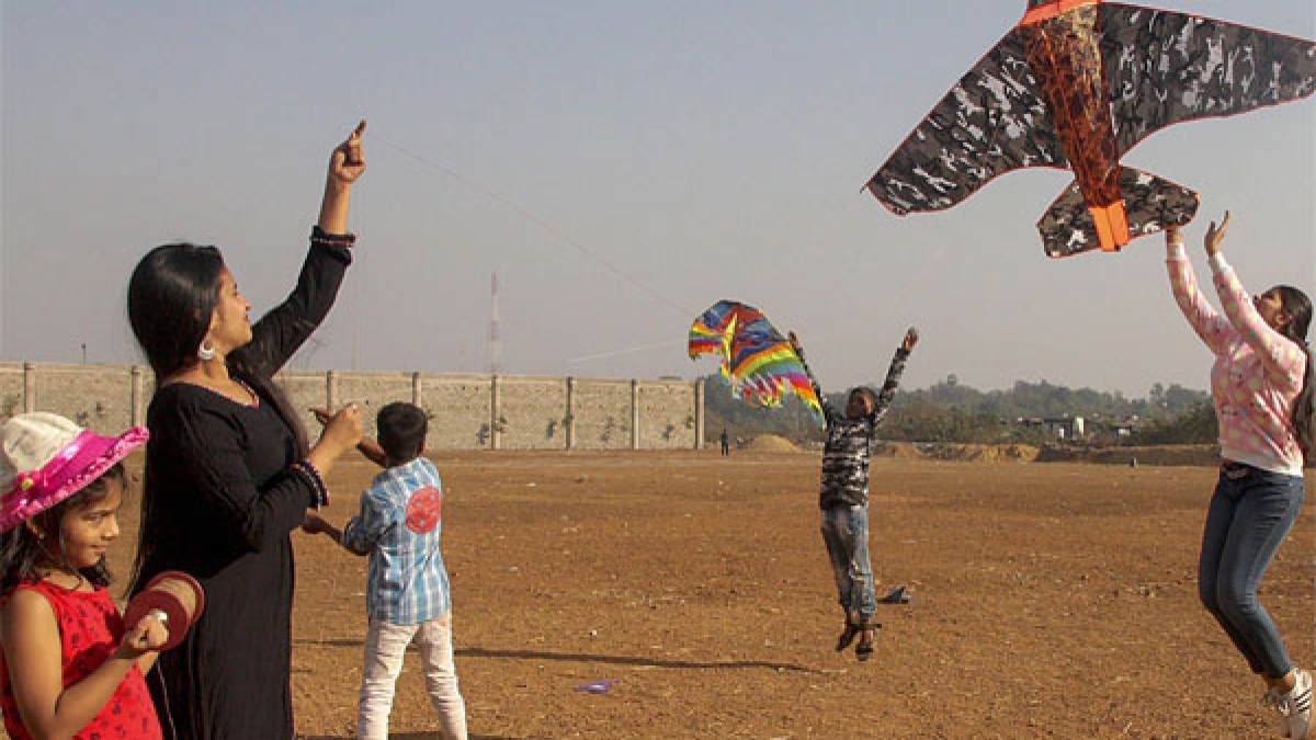 Here's why birds hate Sankranti Oneindia News