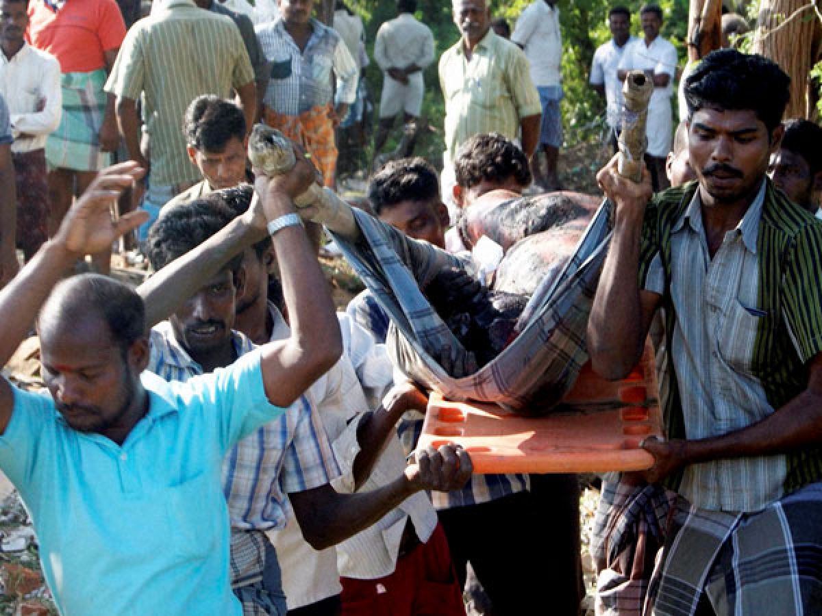 Kumbakonam fire accident in school 2004 in tamil picture