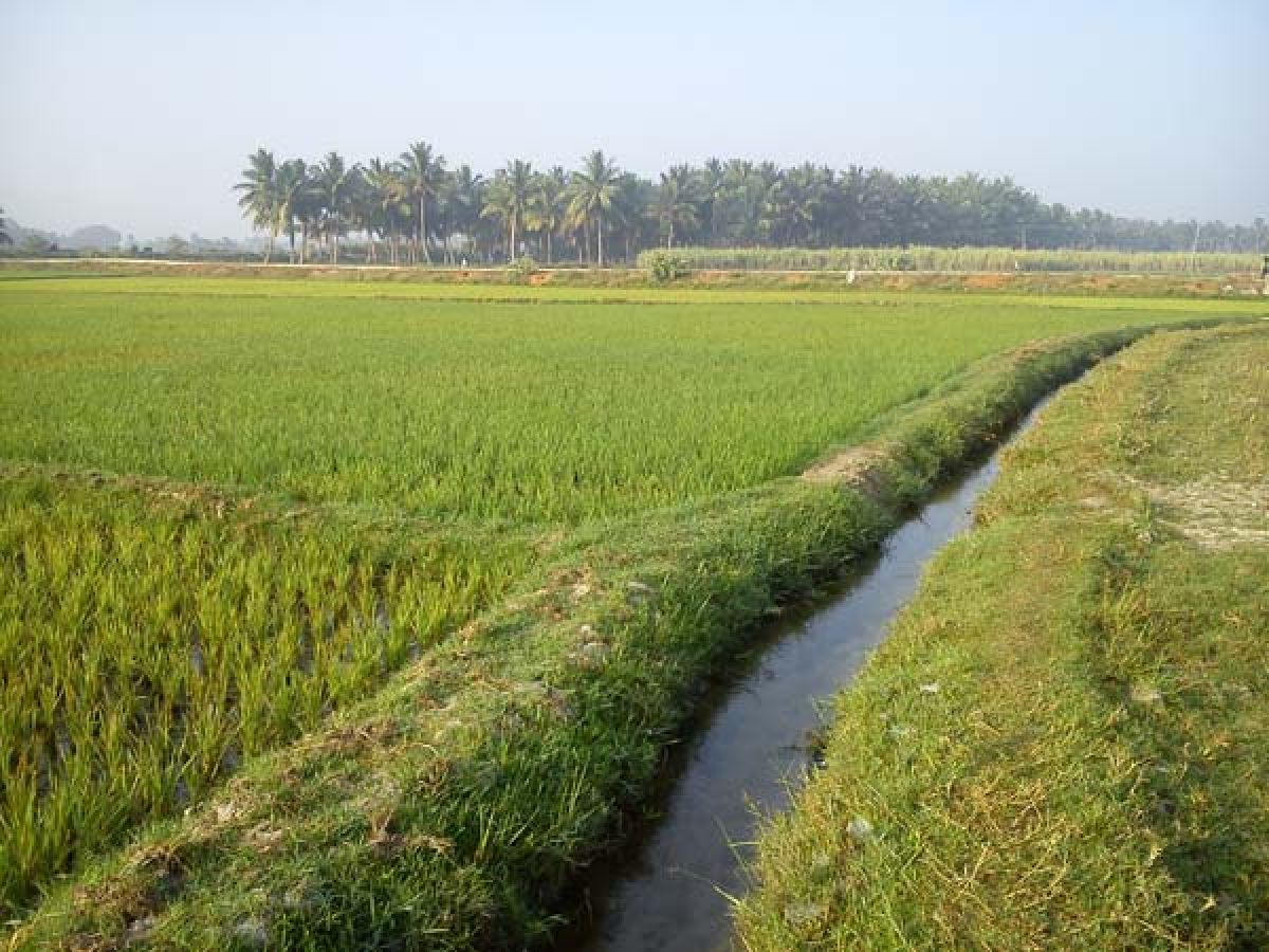 Karnataka seeks Rs 548 cr to complete 475 minor irrigation works