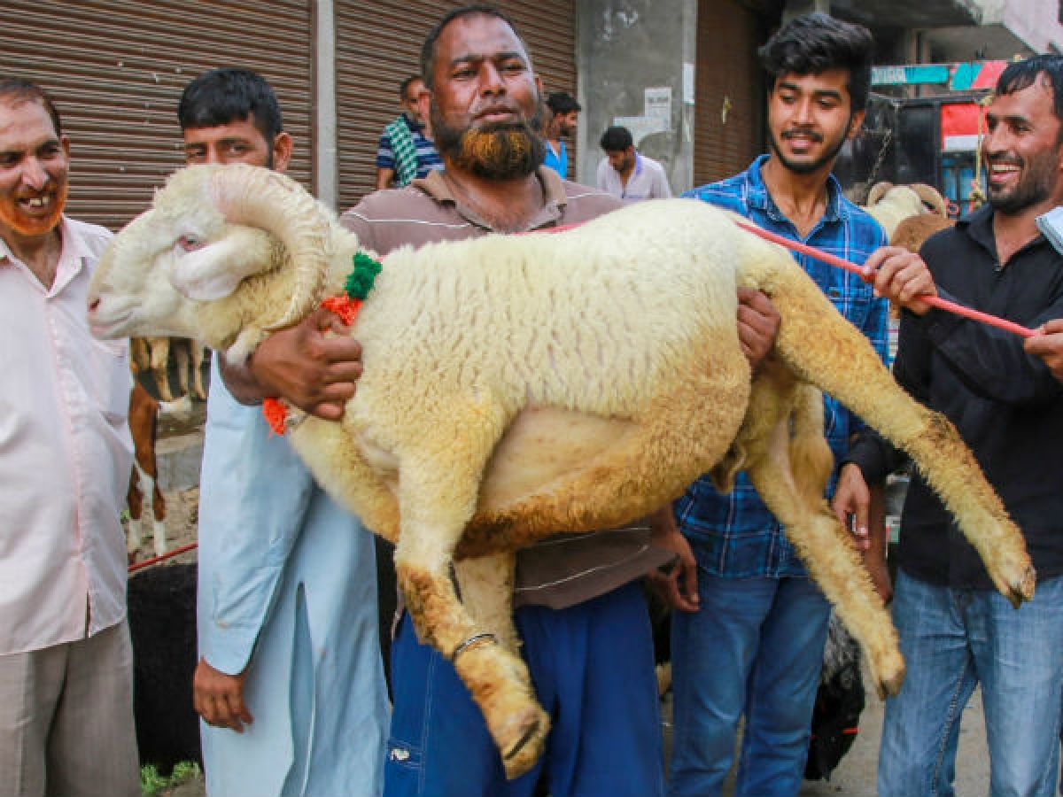 Ahead of Eid al-Adha, UP govt issues guidelines says,'No open sacrifice of  animals' - Oneindia News