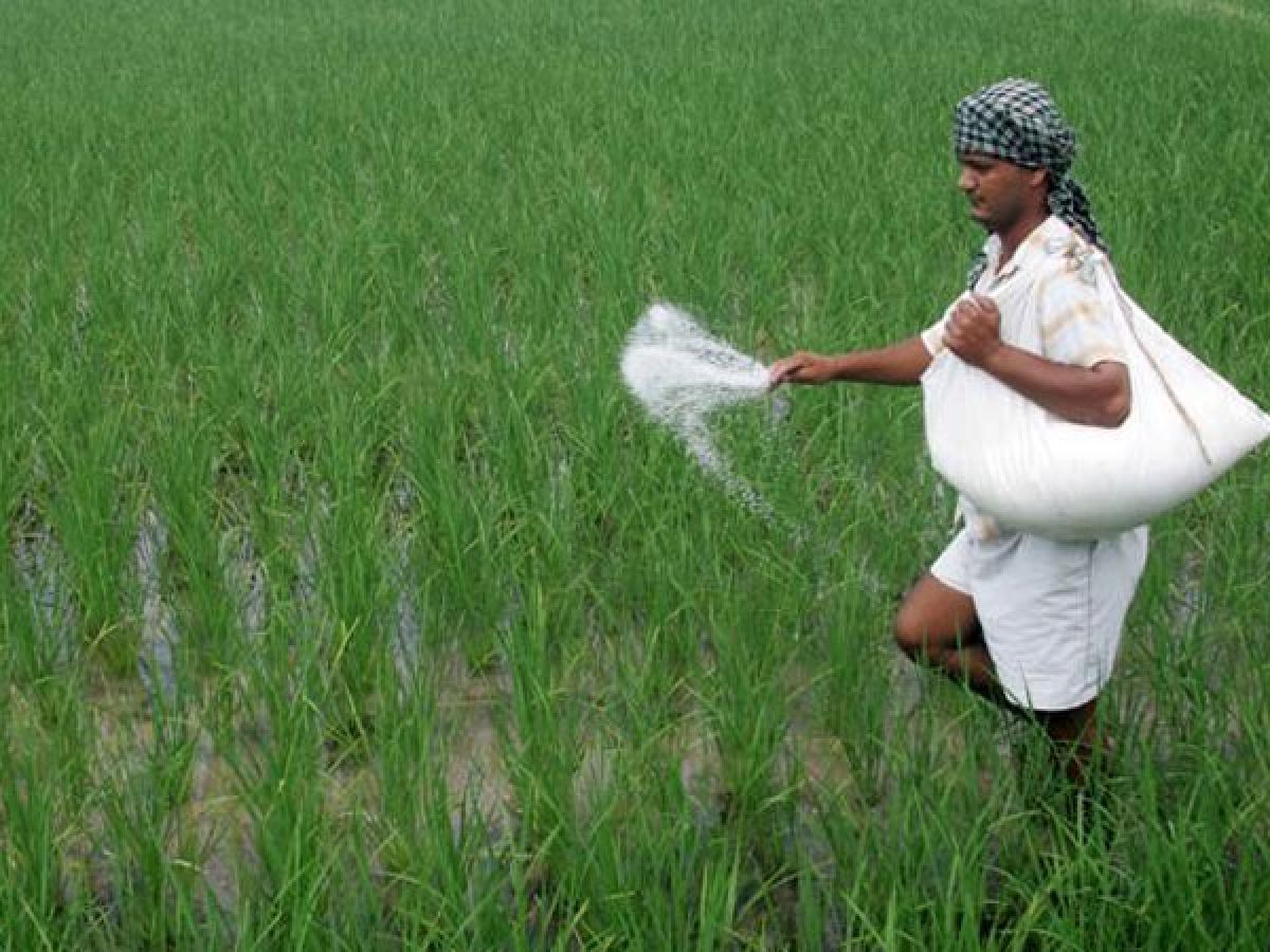 What Are The Problems That Farmers Face In India Farmer Foto Collections