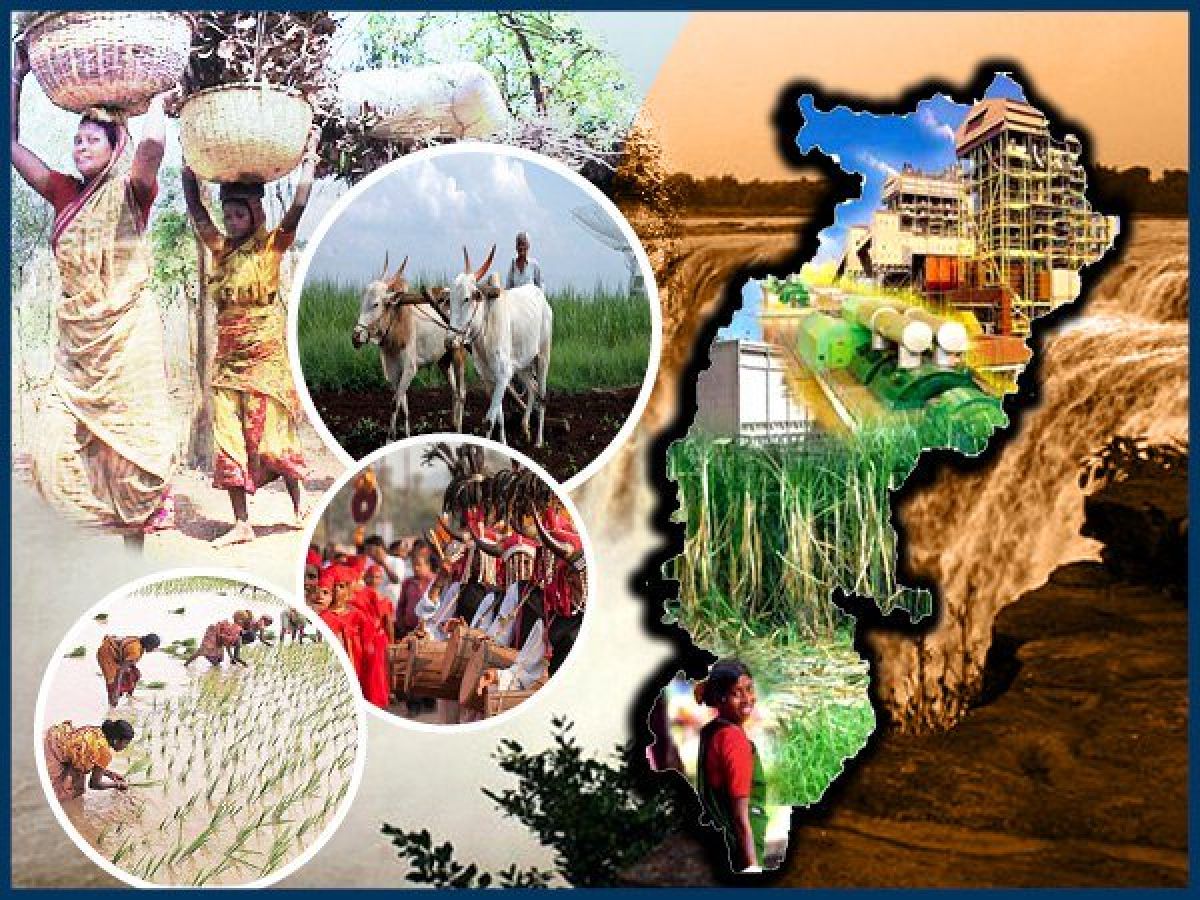 Chhattisgarh All you need to know about poll bound State Oneindia News