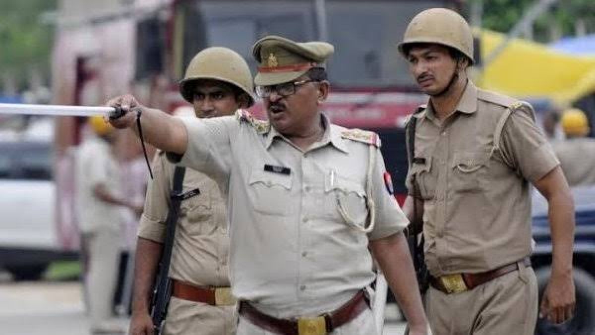 travel bags in dmart