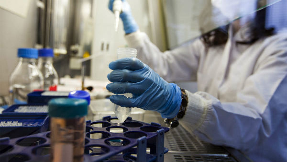 Fighting COVID-19: How long does natural immunity against ...