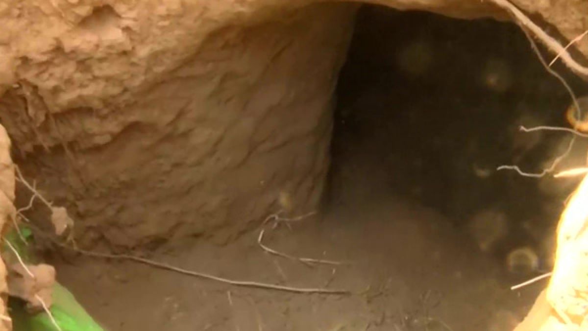 Four charged with smuggling 1 ton of cocaine through 1,933-foot cross-border tunnel
