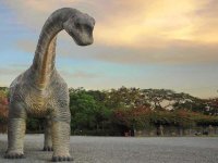 dinosaurs dinosaurs
