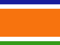 MNS flag
