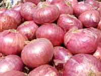 Onions