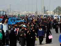 Shia Pilgrims