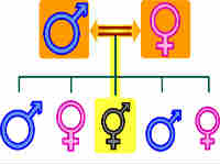 Nuclear family member parens