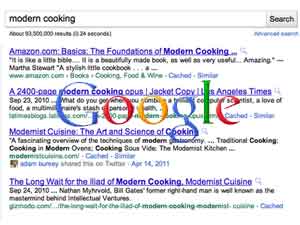 Google Social Search