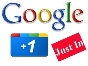 Google +1 Button
