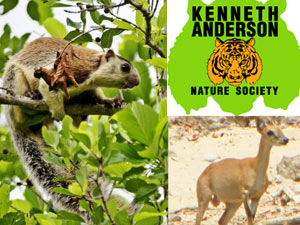 GGS and antelope with KANS logo