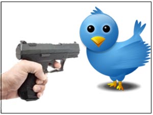 Gun and Twitter bird logo