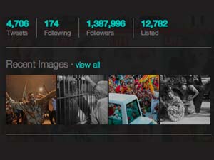 Twitter User Galleries