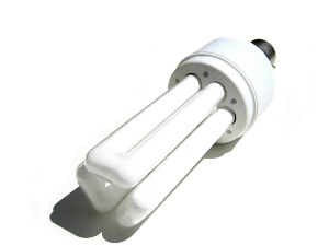 Fluorescent Lamp