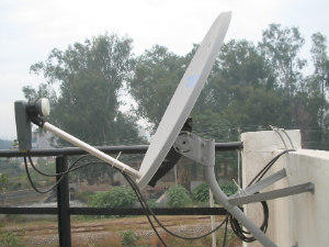 DTH 