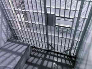 Jail bars
