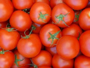 Tomatos Tomatos