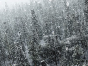 Snow fall