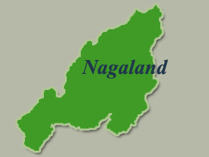 nagaland map