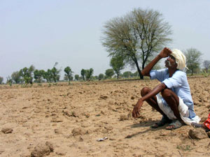 Drought-hit farmers Drought-hit farmers