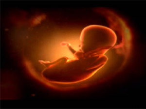Baby in mother's womb