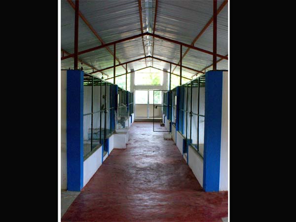 The Aviary in Chennai