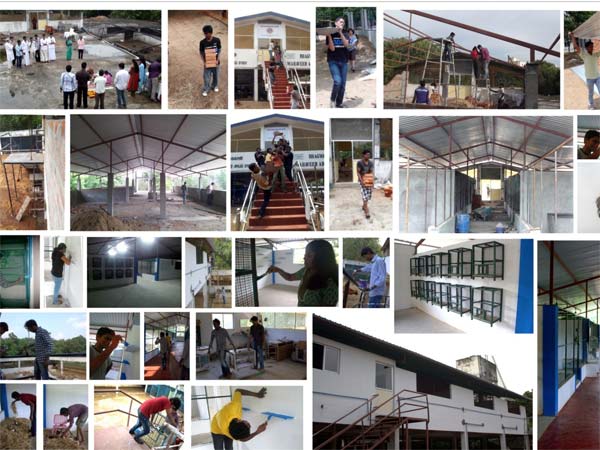 The Aviary Project in Chennai