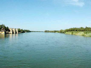 Cauvery water