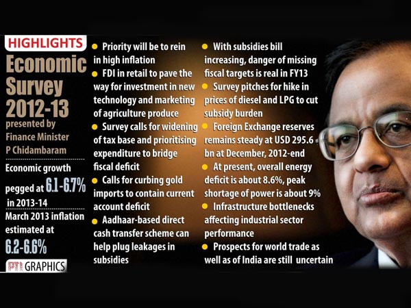 Economic Survey 2012-13