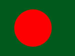 Envoy's Car Attacked