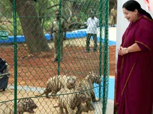 Jayalalitha visits zoo