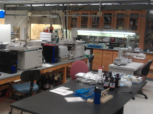 AP to sign MoU with MIT for better edu