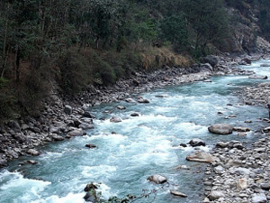 Teesta