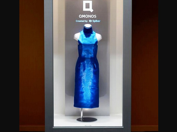 The Blue Dress The Blue Dress