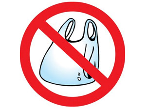 Himachal bans chips, candies in plastic