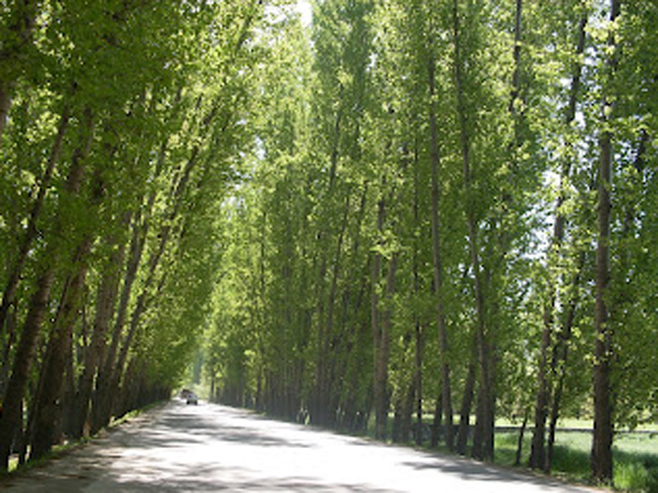 Kerala tourism's golden era set to continue