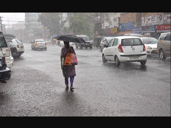 Rain Rain